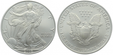 USA 1 Dollar 2006 Silver Eagle - 1 Unze Feinsilber